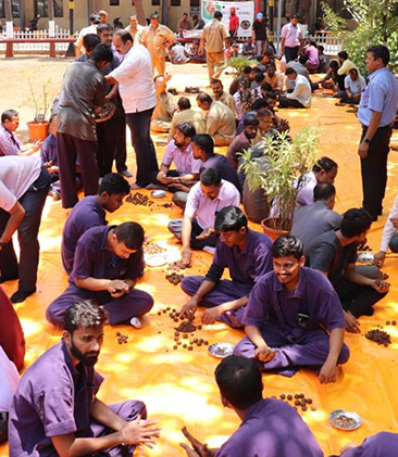 Material Development