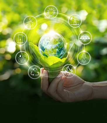 Material Development