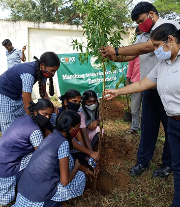 Material Development