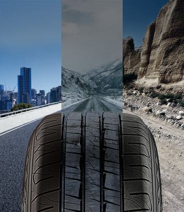 Material Development