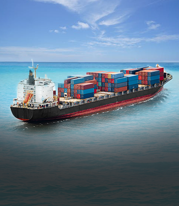 Material Development