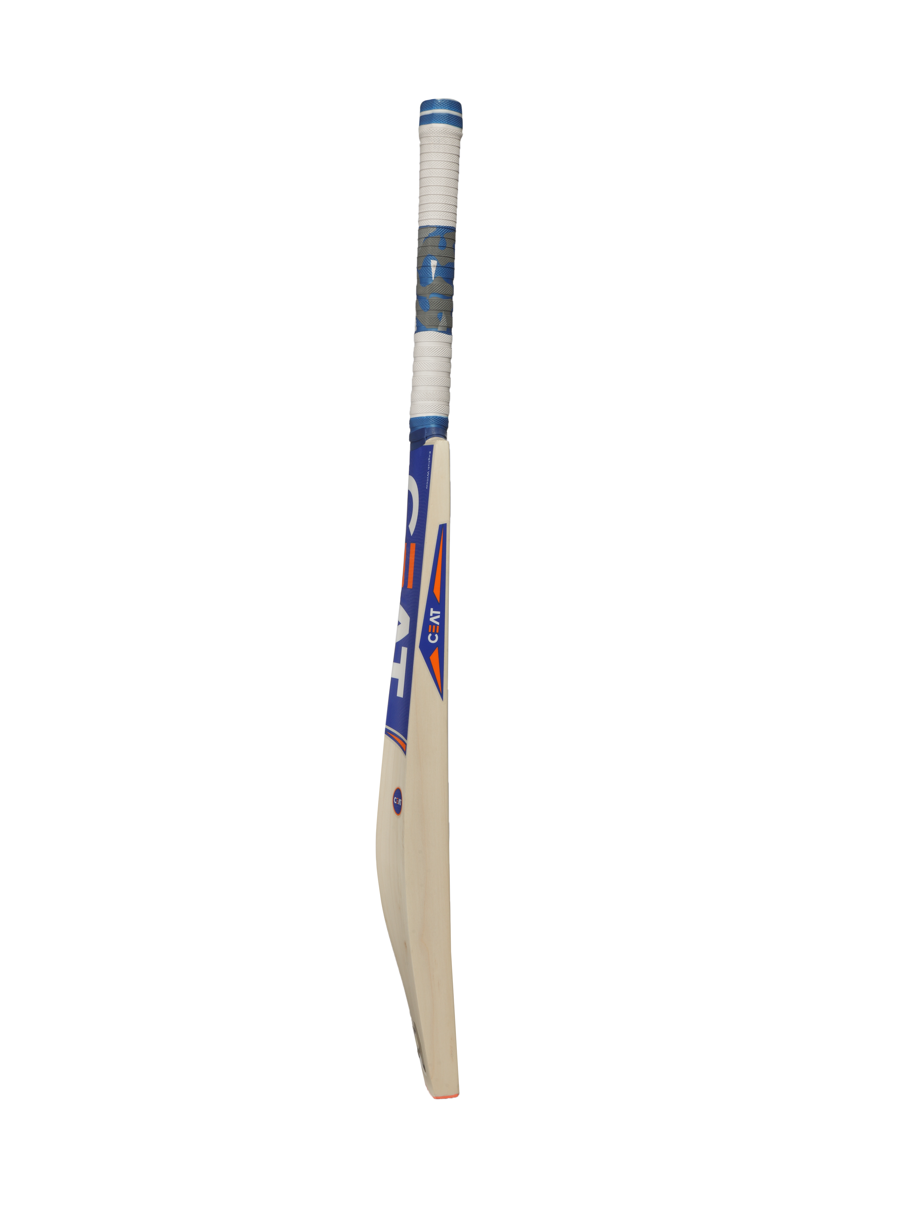 bat image